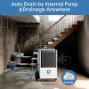 250 Pints Commercial Dehumidifier, Crawl Space Dehumidifier for Basement, with Internal Automatic Drain Pump