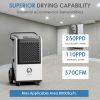 Commercial Dehumidifiers