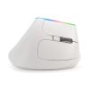 DeLUX M618DB Ergonomic Vertical Mouse Rechargeable Wireless 2.4GHz Gaming Mouse RGB 1600 DPI Vertical Mice For PC Laptop